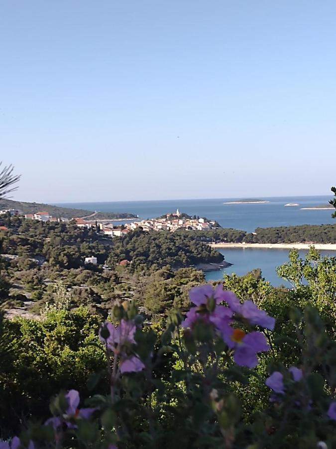 Apartmani Zmiric Primošten Екстериор снимка